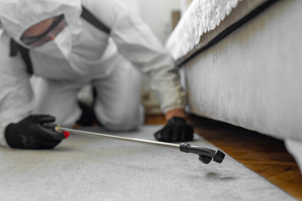 Professional Bed Bug Control technician working in Loving County County, TX